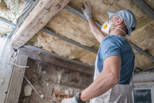 Best Insulation Maintenance and Repair in La Joya, TX