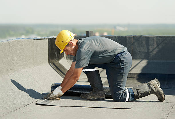 Best Insulation Maintenance and Repair in La Joya, TX