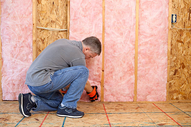 Best Specialty Insulation in La Joya, TX