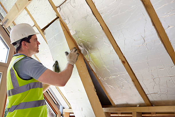 Best Insulation Installation Services in La Joya, TX