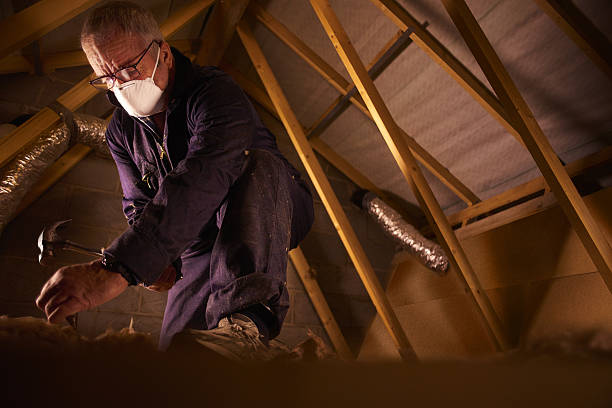 Best Insulation Materials and Products in La Joya, TX